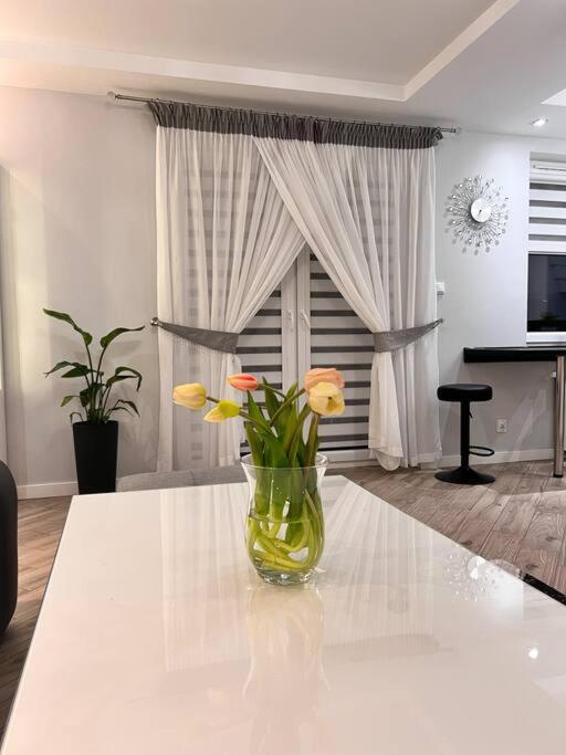 Apartament Zamojski Mlynska Zamość Exterior foto