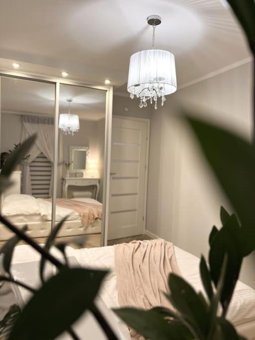 Apartament Zamojski Mlynska Zamość Exterior foto