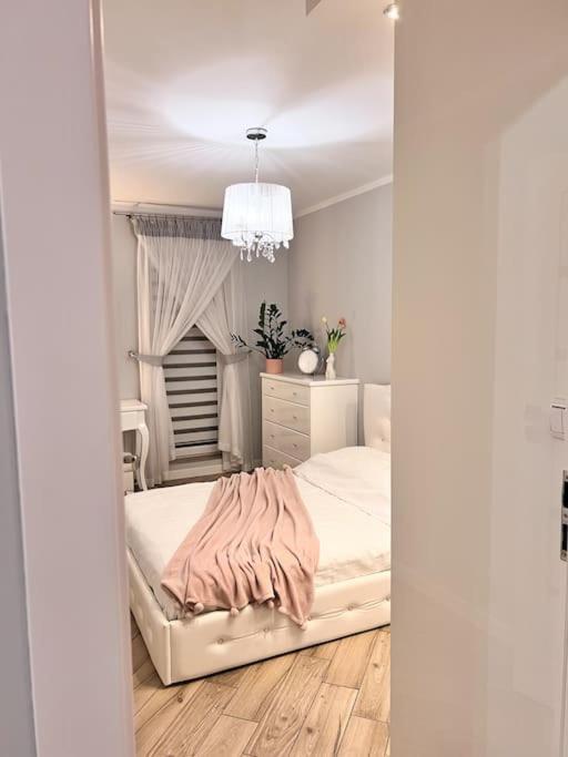 Apartament Zamojski Mlynska Zamość Exterior foto
